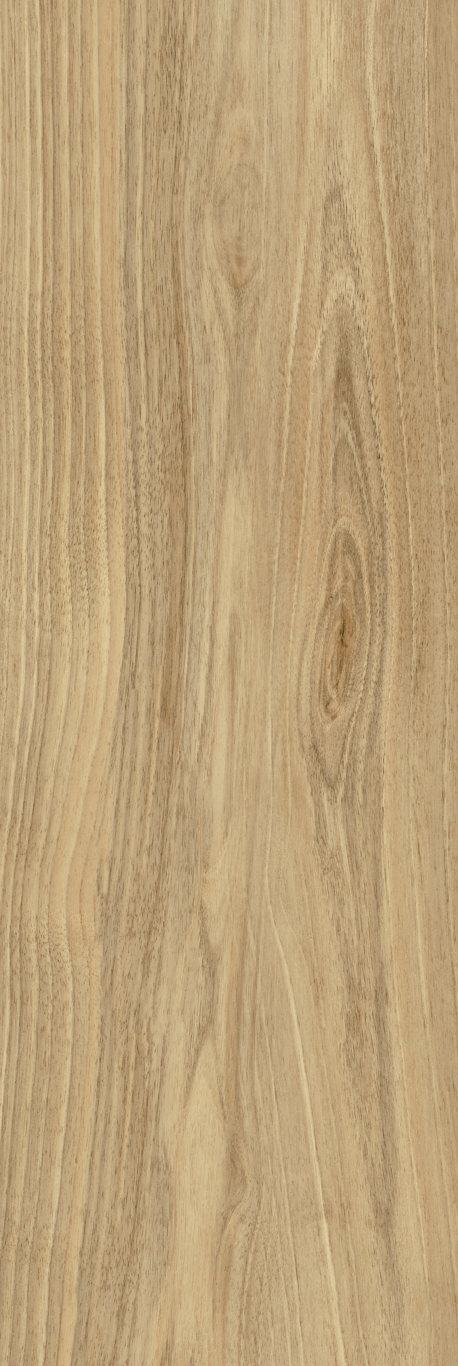 Dreamwood Glossy 250x750 Ceramika Color