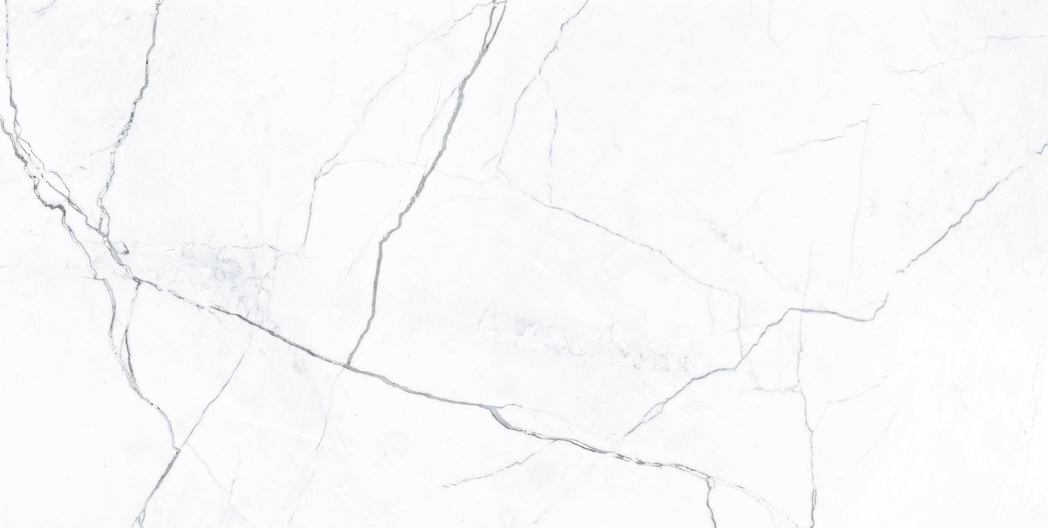 Elegance Marble White MAT 600x1200 Ecoceramic