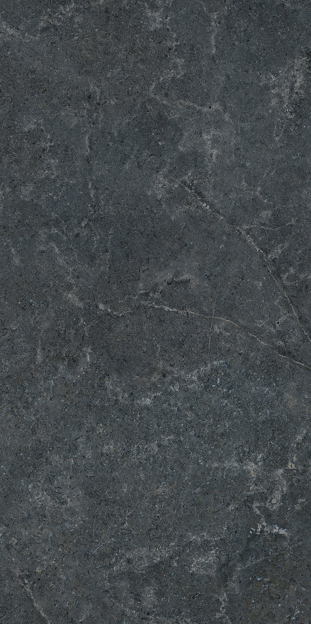 Sky Craft Graphite SZKL RECT LAP 598x1198 Paradyz
