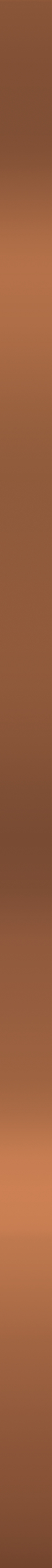 Super Copper 25x750 Ceramika Color