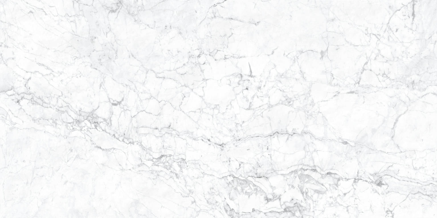 Carrara Grey MAT 600x1200 Newker