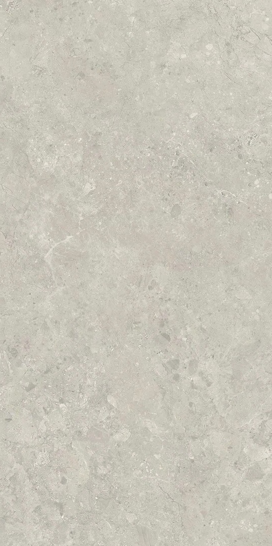Sedina Grey SZKL RECT MAT 598x1198 Paradyz